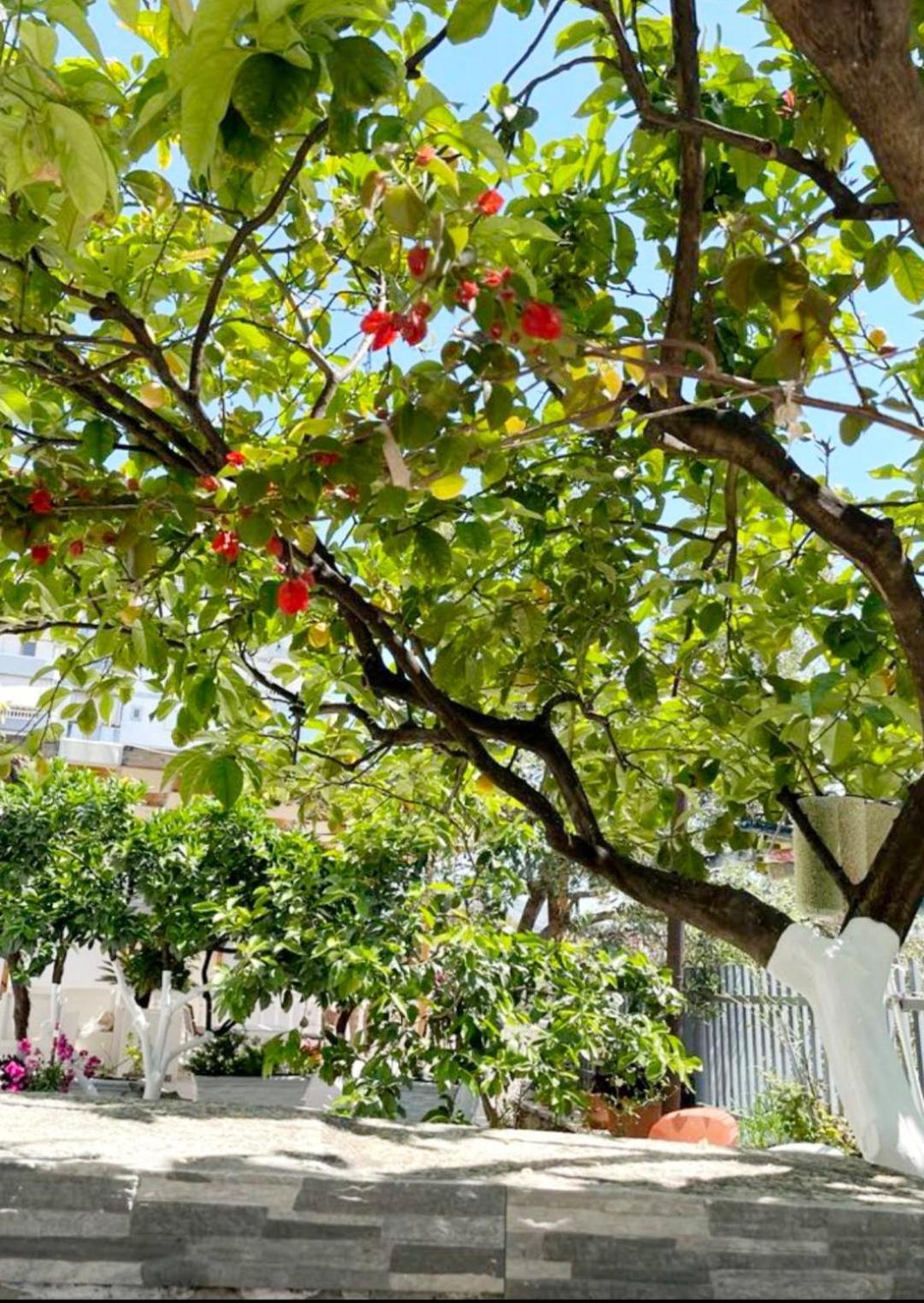 Sala Apartment's Apartment Sarande